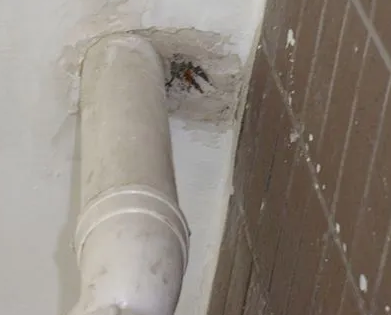 鄂尔多斯市漏水检测哪家好